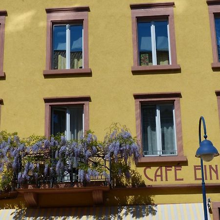 Apartments Im Cafe Einstein Freiburg im Breisgau Dış mekan fotoğraf