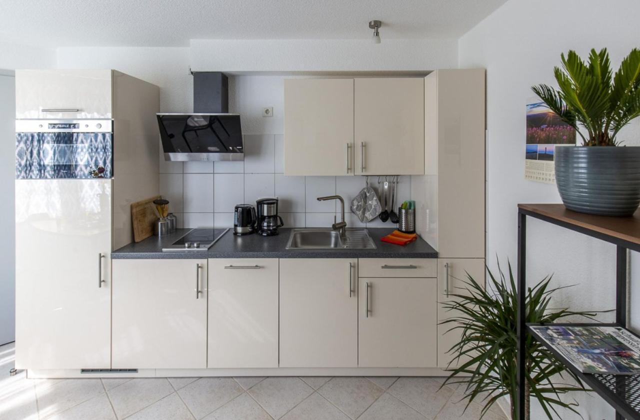 Apartments Im Cafe Einstein Freiburg im Breisgau Dış mekan fotoğraf